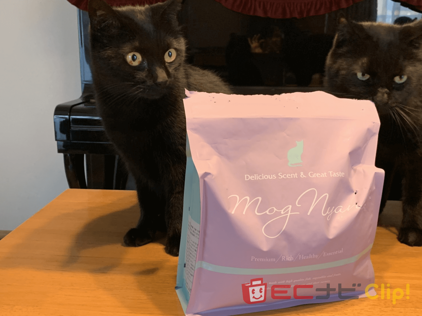 モグニャンのパッケージと猫2匹