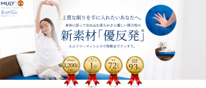 Tokyo Best Sleep Center エムリリーのHP画像