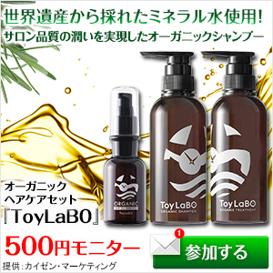 ヘアケアセット『ToyLaBO』500円モニター（カイゼン・マーケティング）