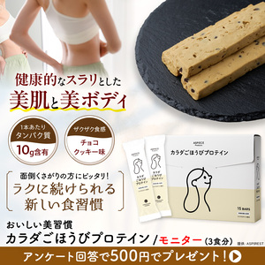 カラダごほうびプロテイン