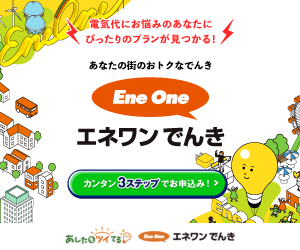 エネワンでんき