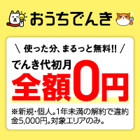 おうちでんき